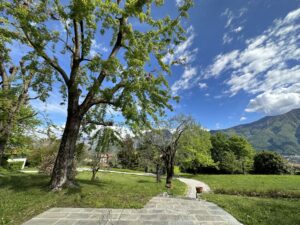 Lake Como Lenno Detached Villa with Garden, Pool and Lake View - garden