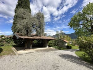 Lake Como Lenno Detached Villa with Garden, Pool and Lake View - outdoor spaces
