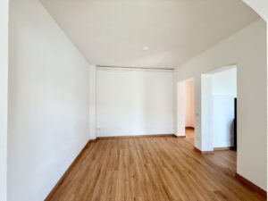 Front Lake Property with Garden Lezzeno