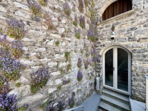 Front Lake Property with Garden Lezzeno